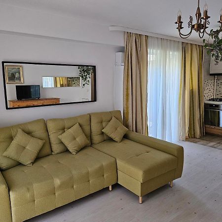 Manolaire Airport Residence Otopeni Kültér fotó